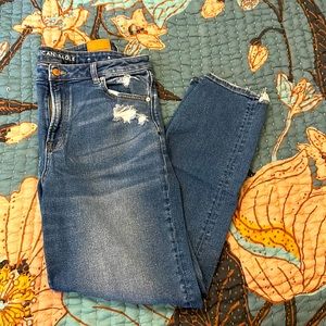American Eagle Mom Jean Size 14 Long